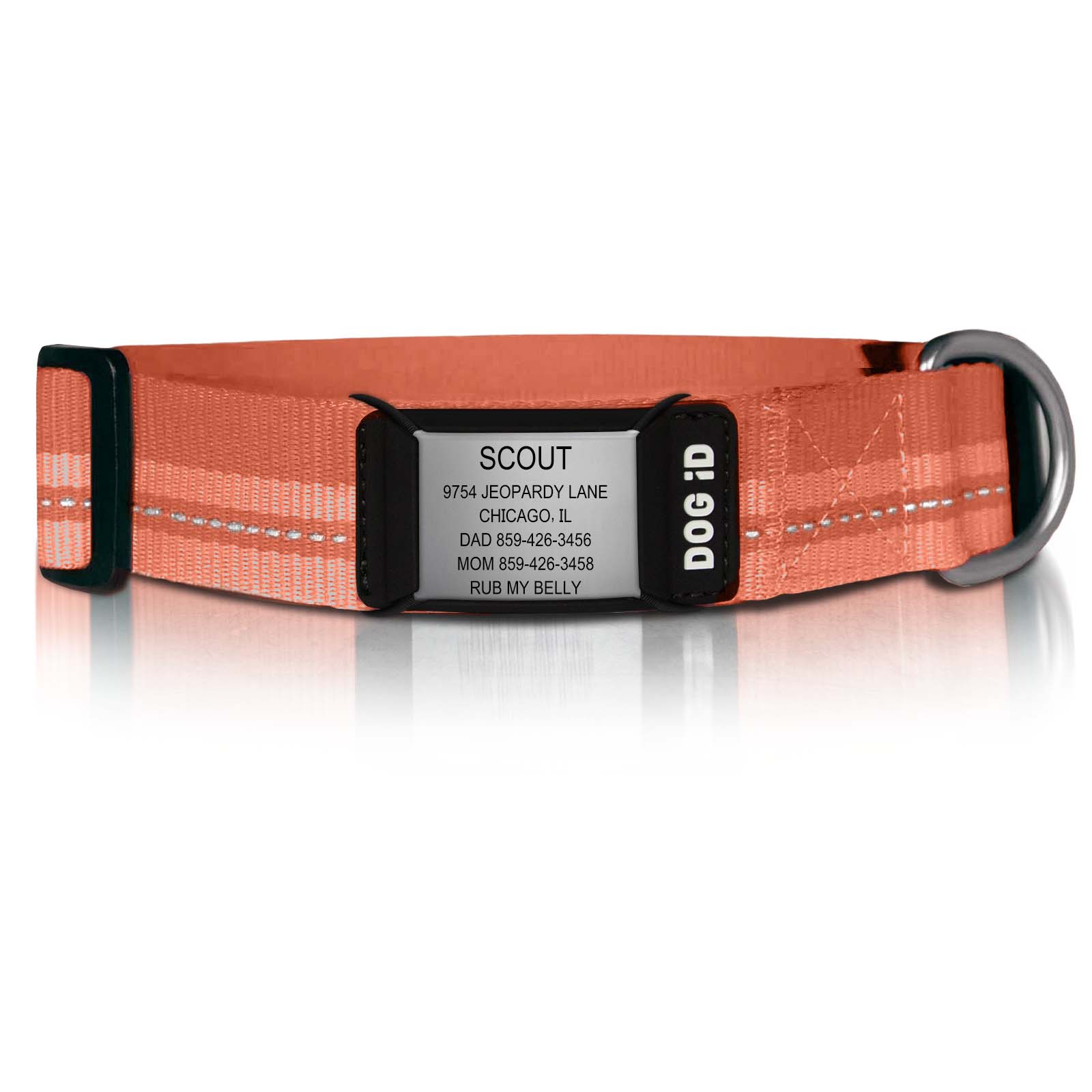 Rock Solid Collar ID ID X-Large Slate Terra Cotta