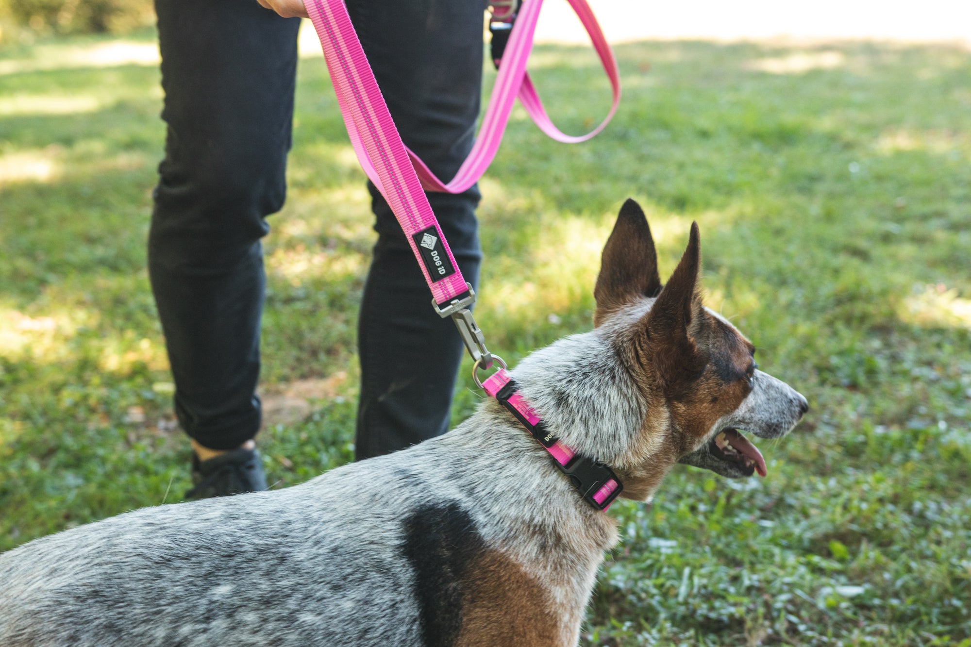 Legendary Leash Leash