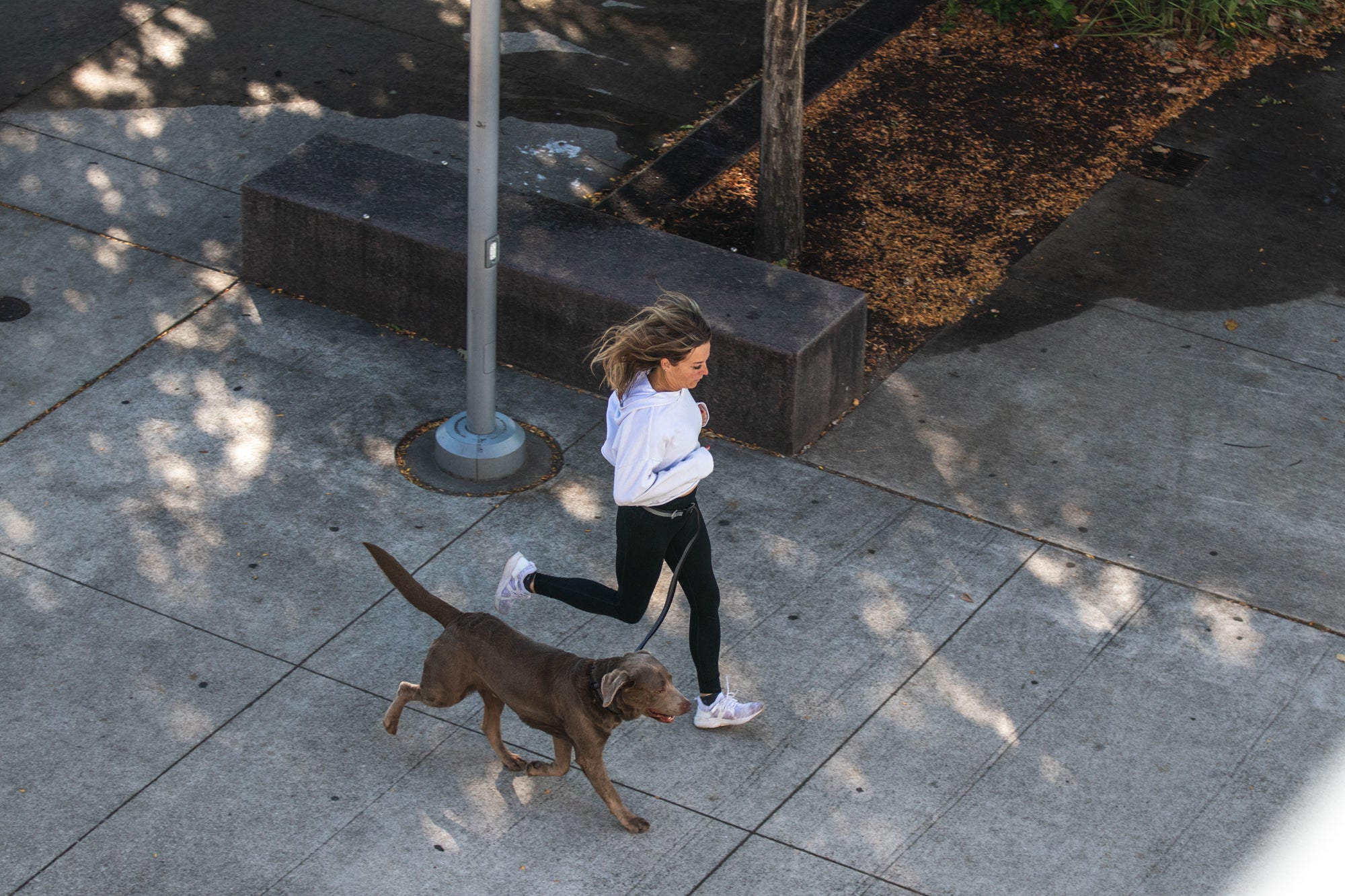 Legendary Leash Leash