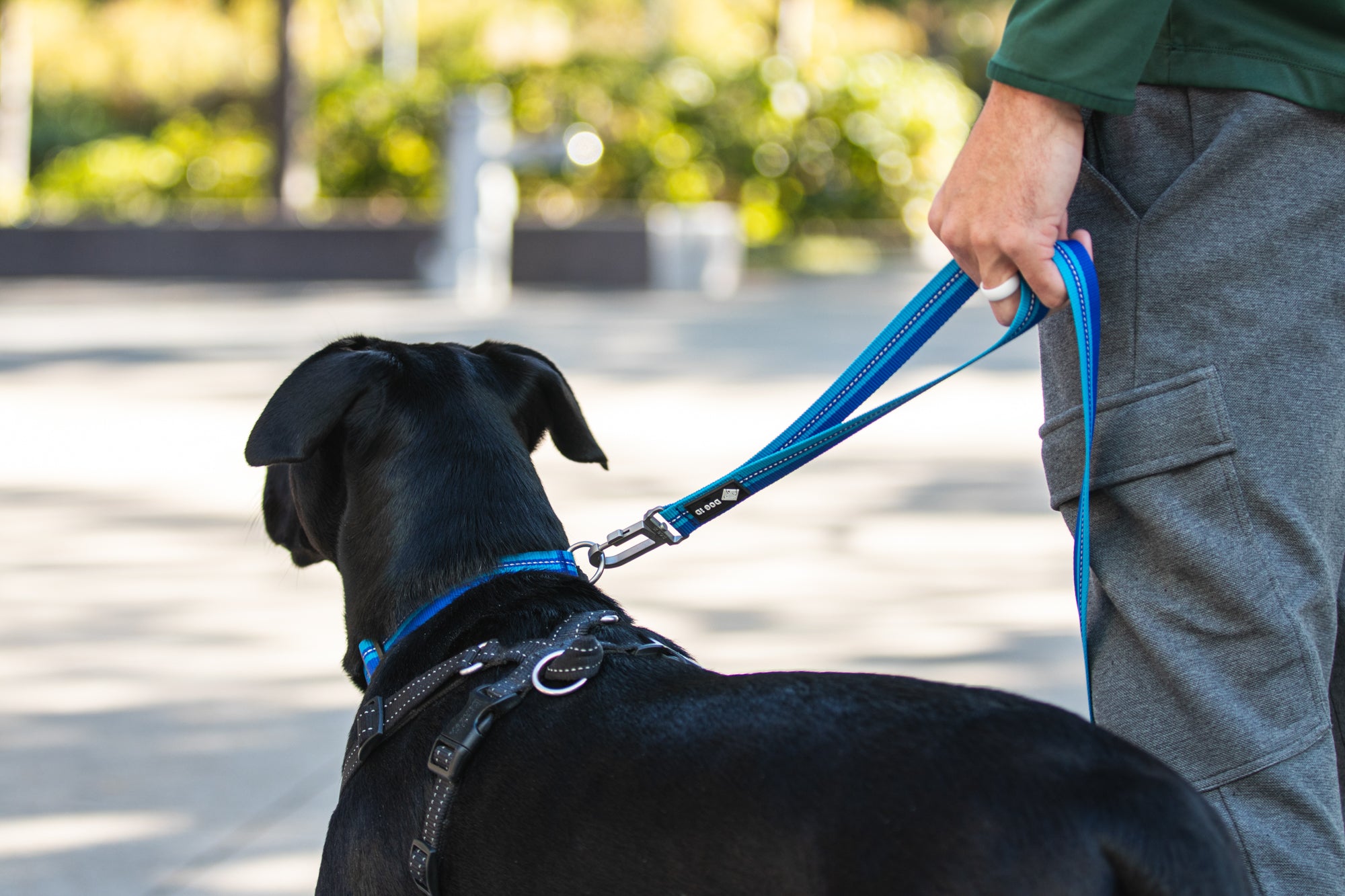 Legendary Leash Leash