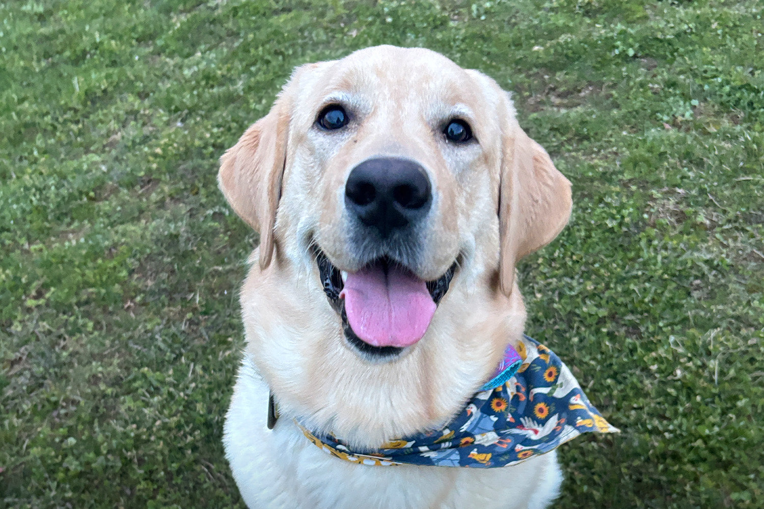 Superhero Litter Update: A Day in the Life of Gwen