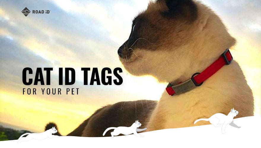 Cat ID Tags for Your Pet