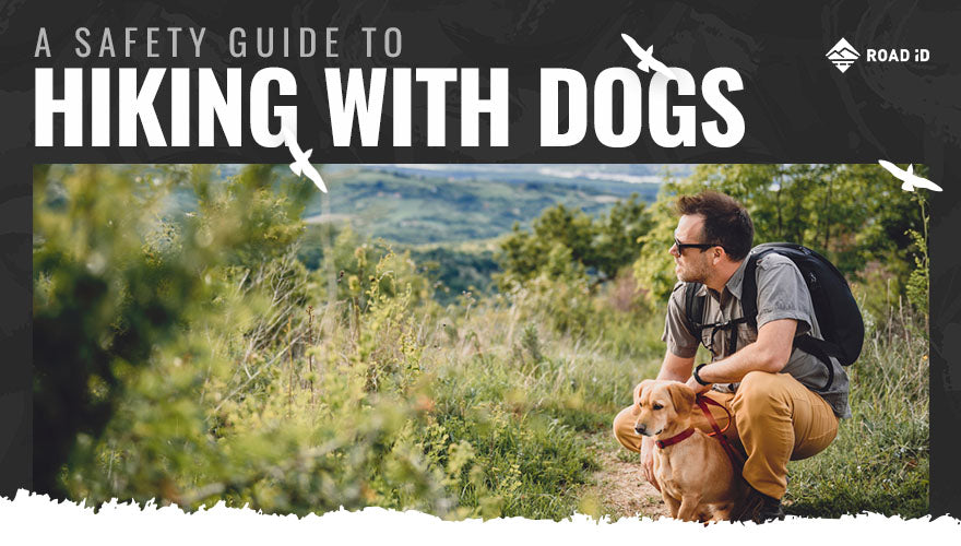 A Safety Guide to Hiking with Dogs
