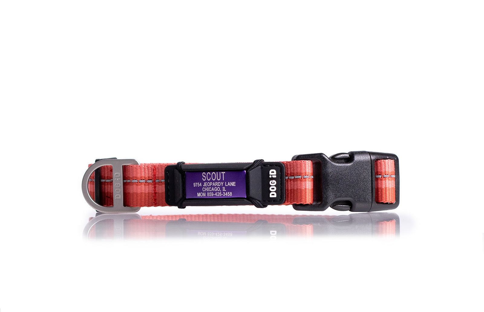 The Rock Solid Dog Collar with ID Tag | Dog iD