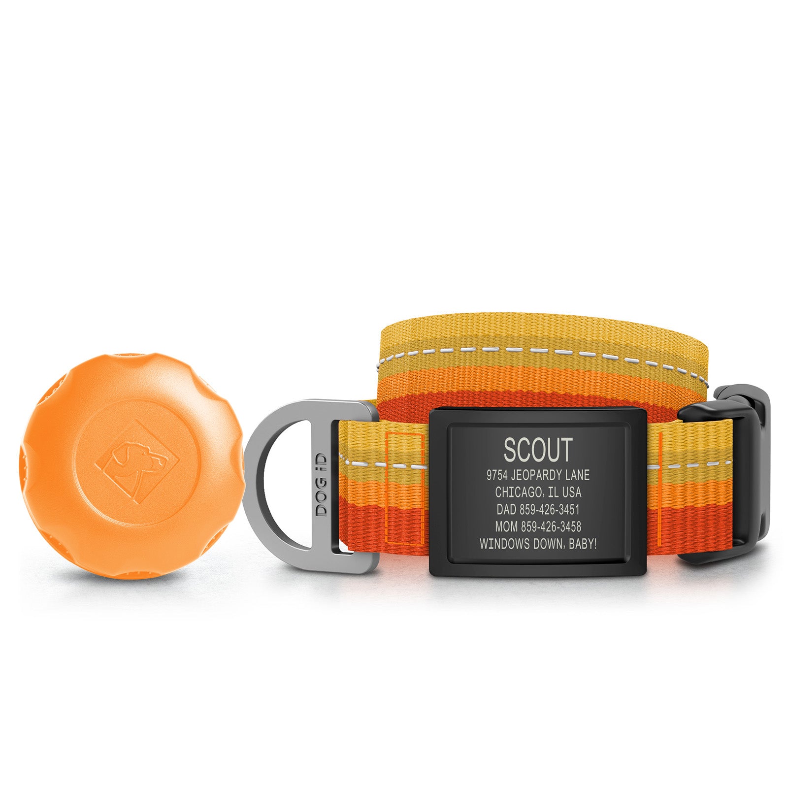 AirTag Holder + Collar + ID