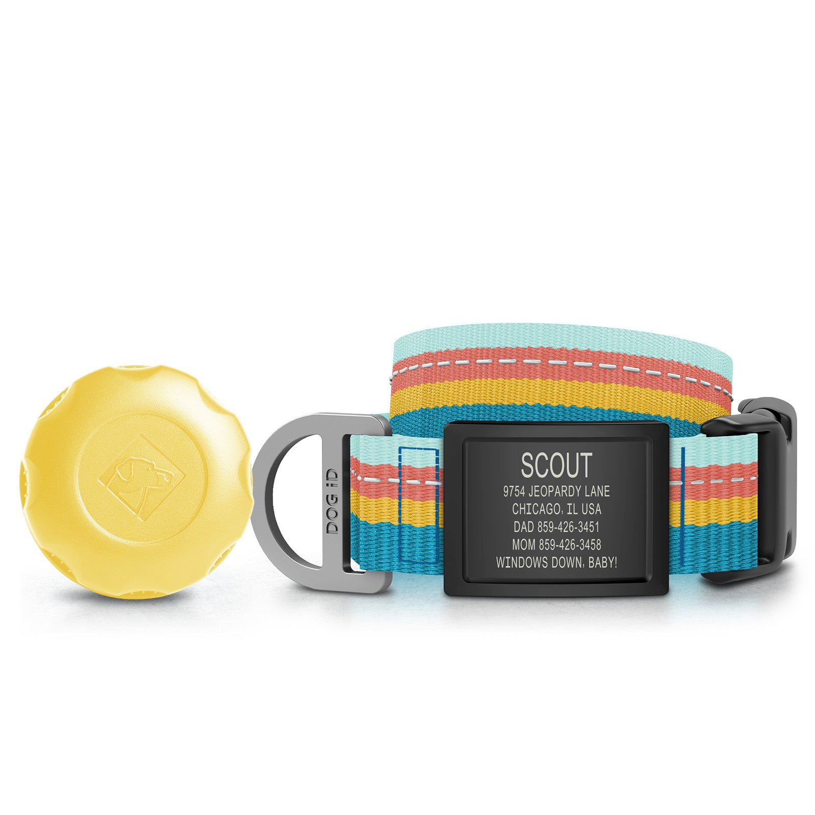 AirTag Holder + Collar + ID