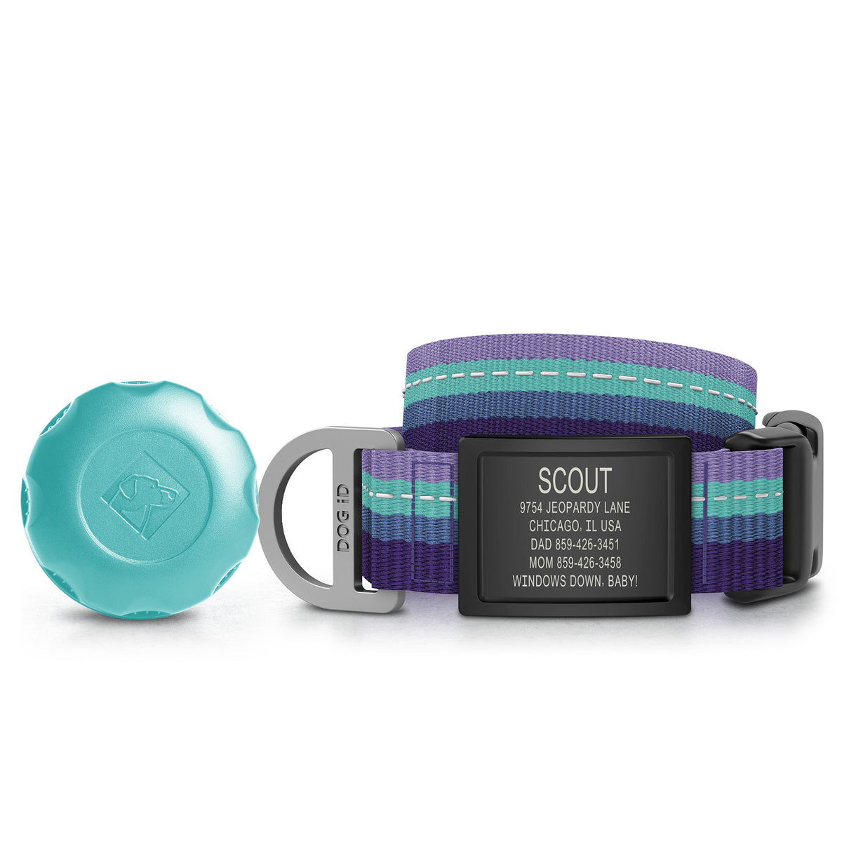 AirTag Holder + Collar + ID