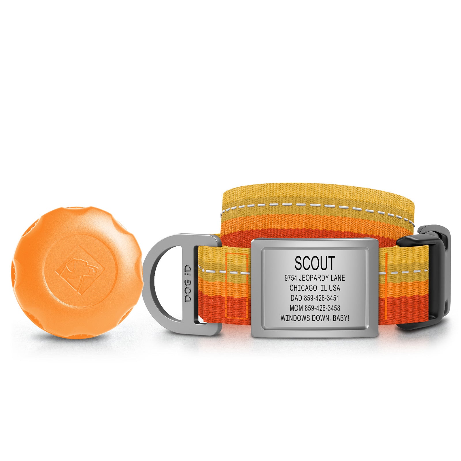 AirTag Holder + Collar + ID