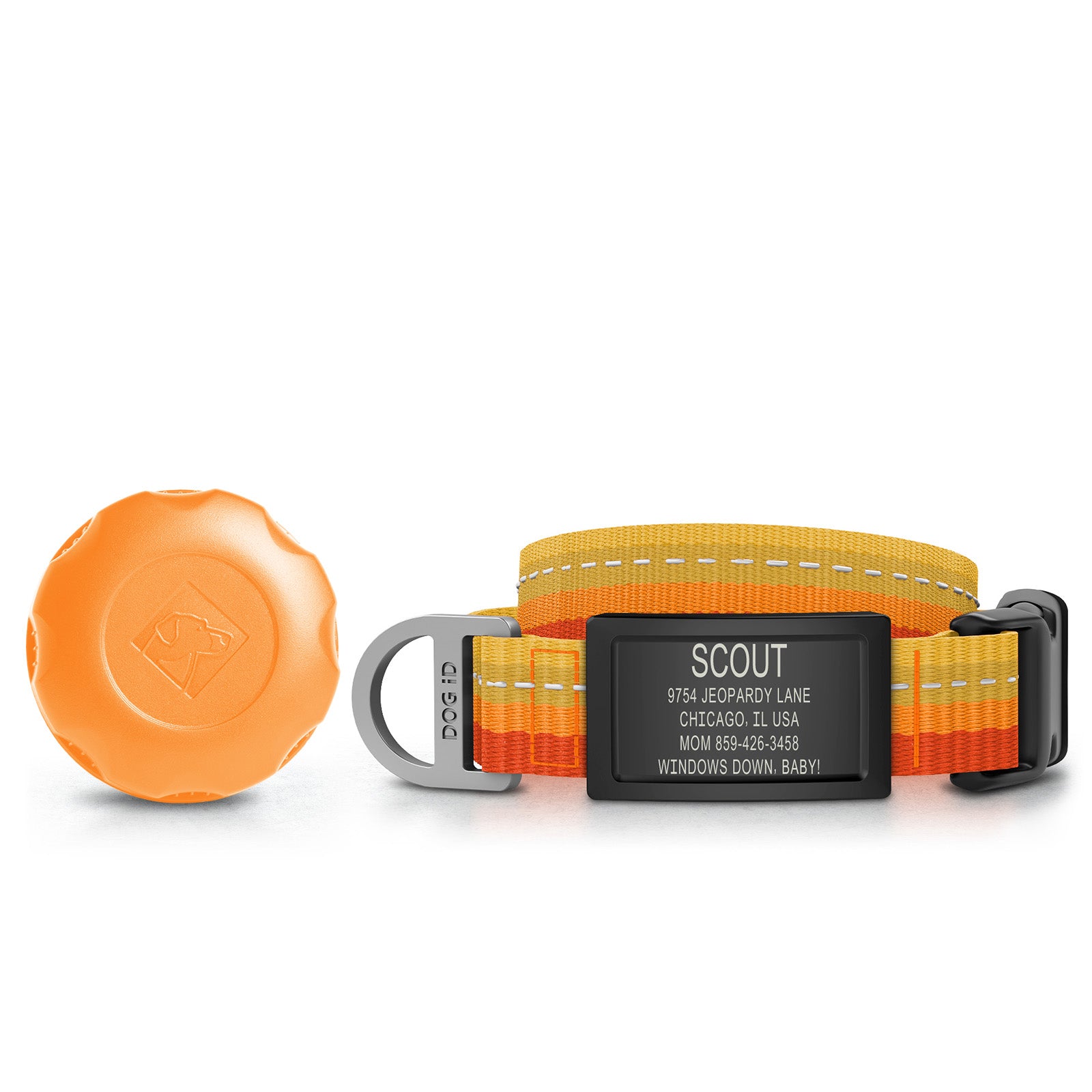 AirTag Holder + Collar + ID