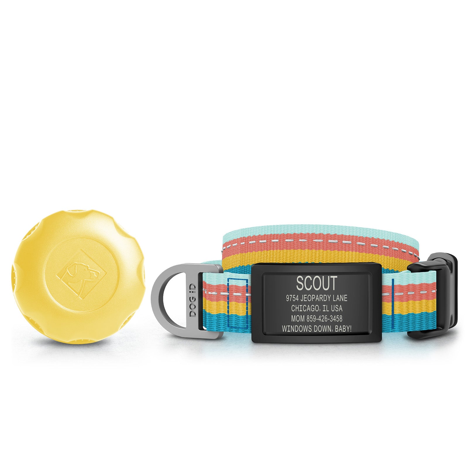 AirTag Holder + Collar + ID