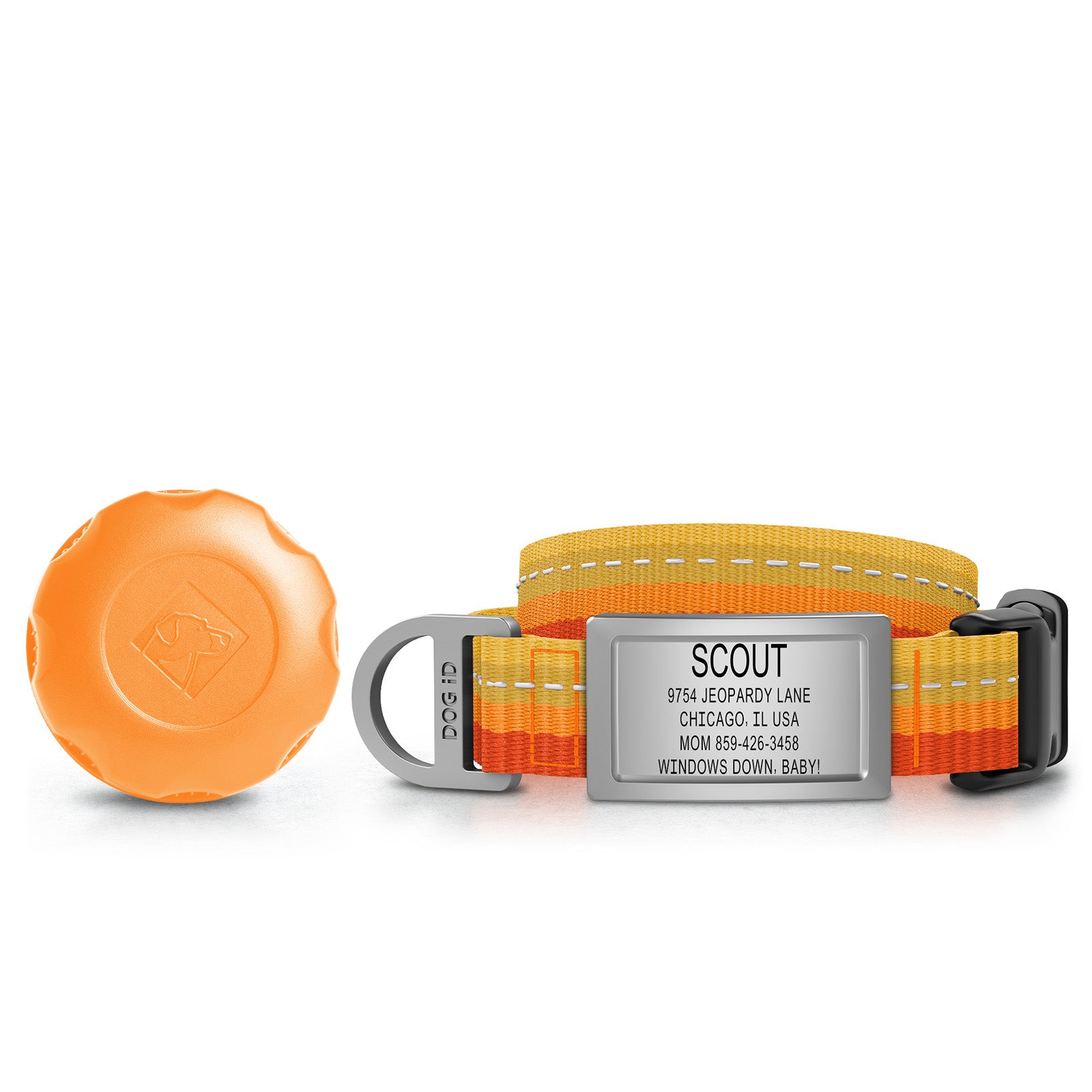 AirTag Holder + Collar + ID