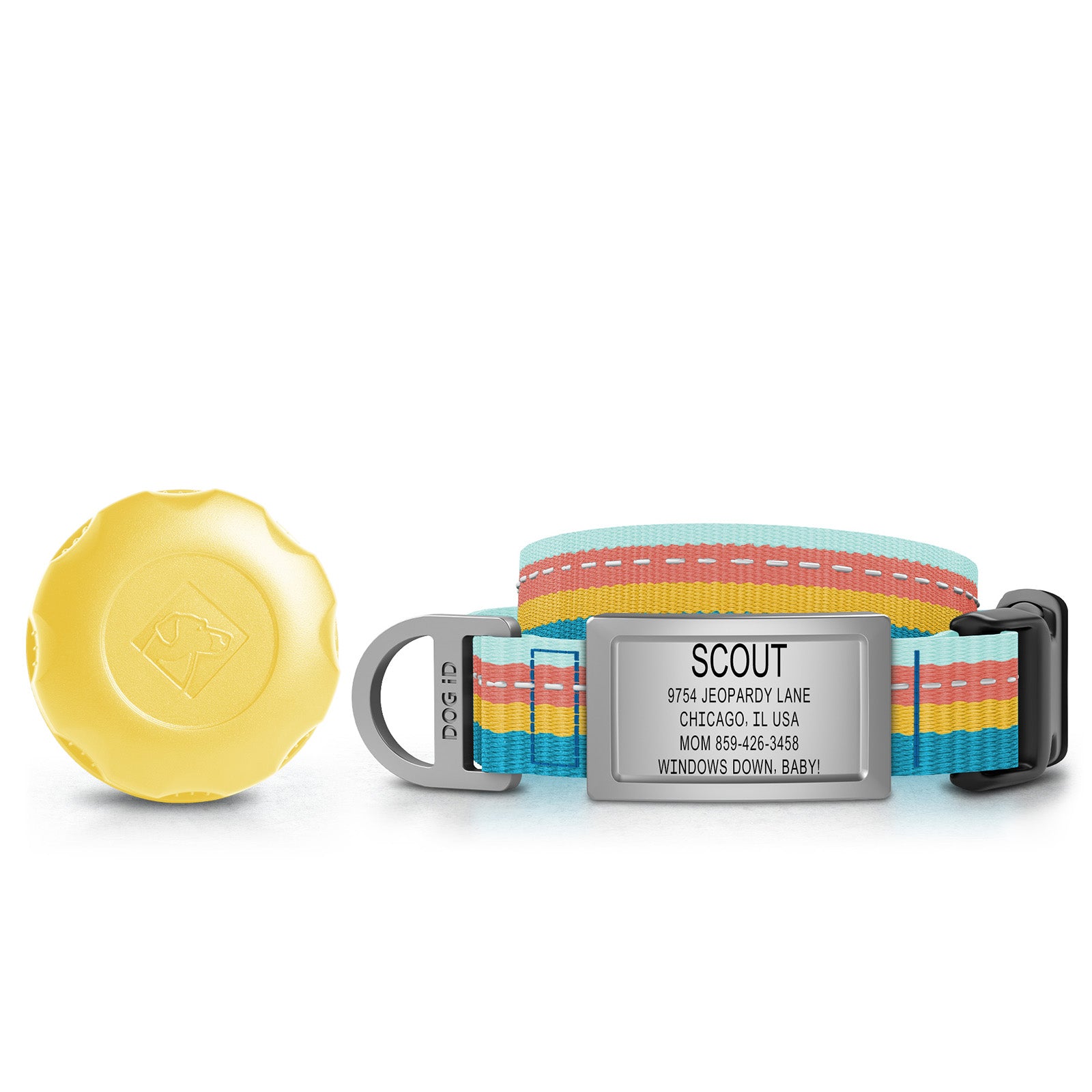 AirTag Holder + Collar + ID