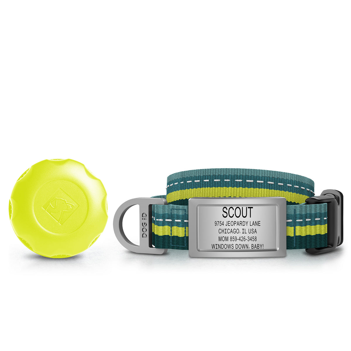 AirTag Holder + Collar + ID