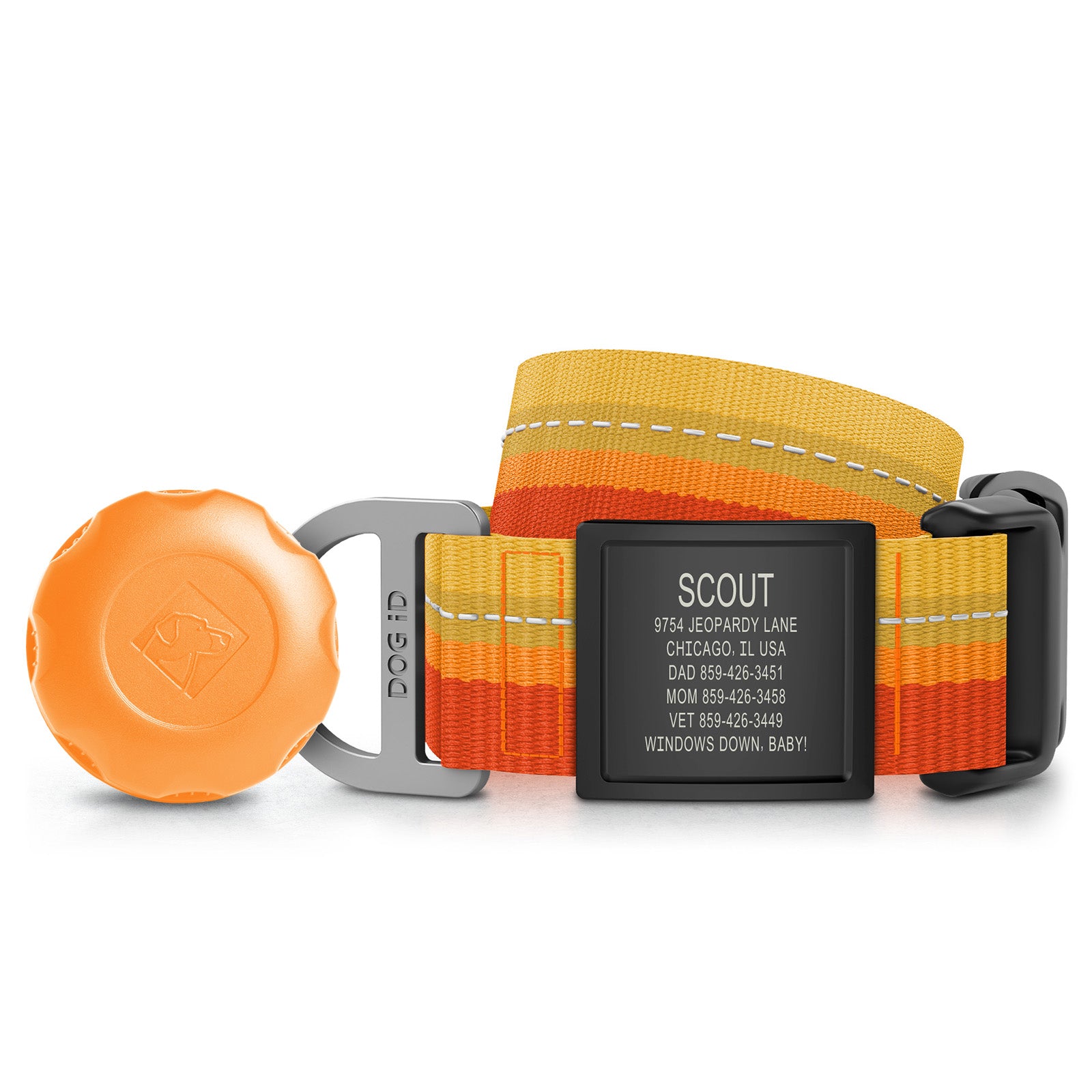 AirTag Holder + Collar + ID