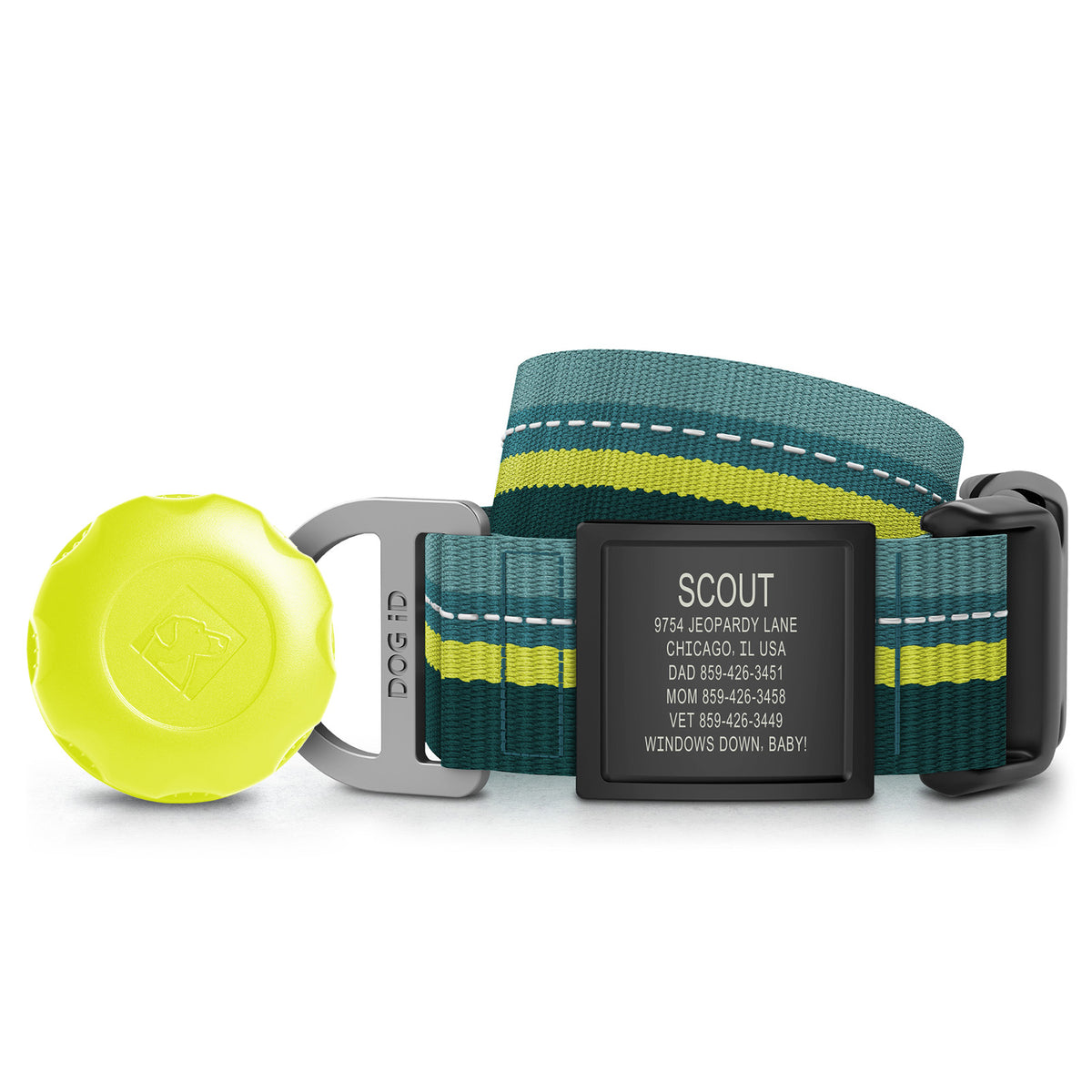 AirTag Holder + Collar + ID