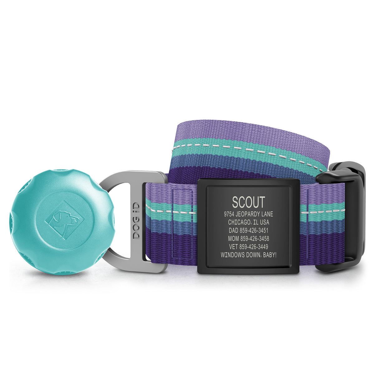 AirTag Holder + Collar + ID