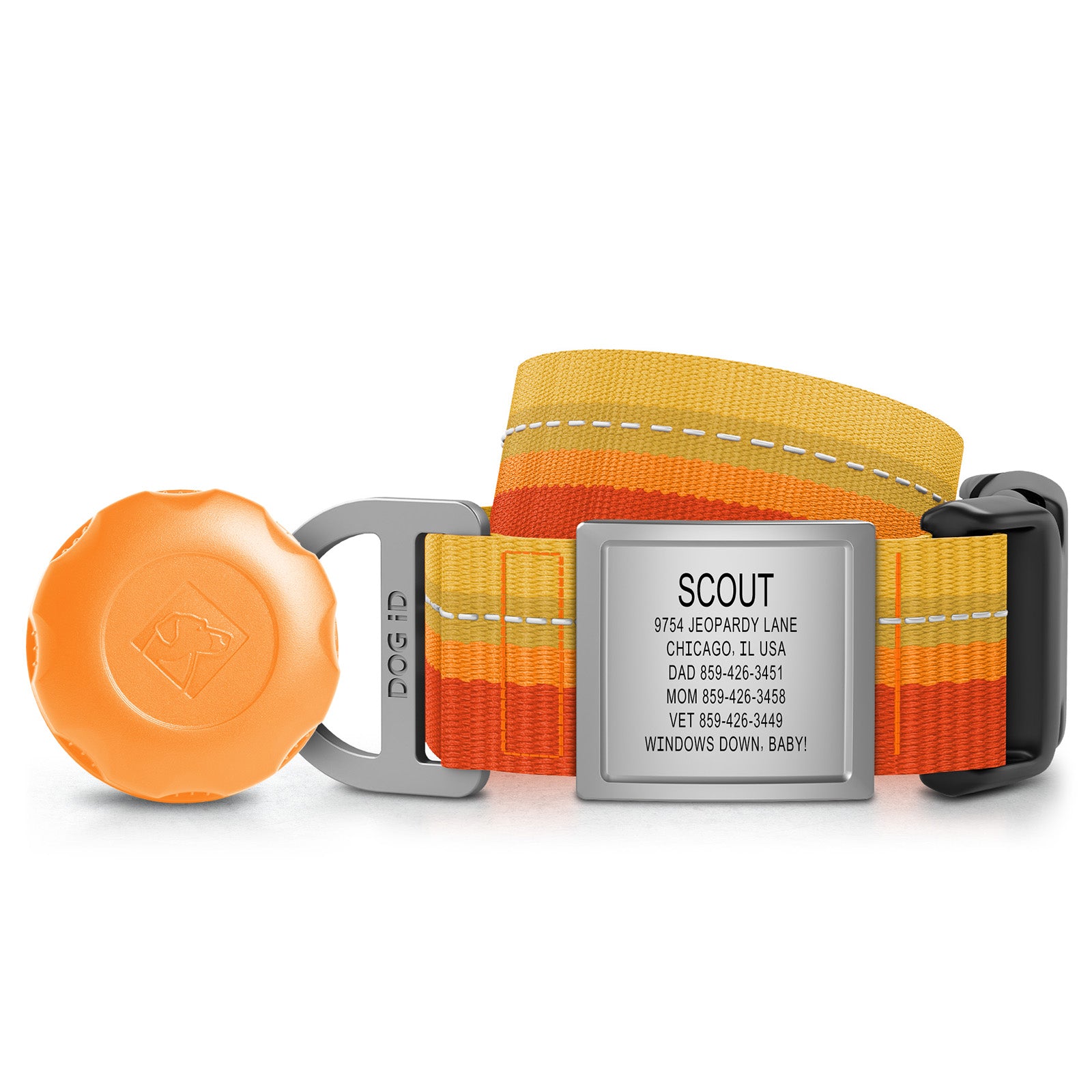 AirTag Holder + Collar + ID