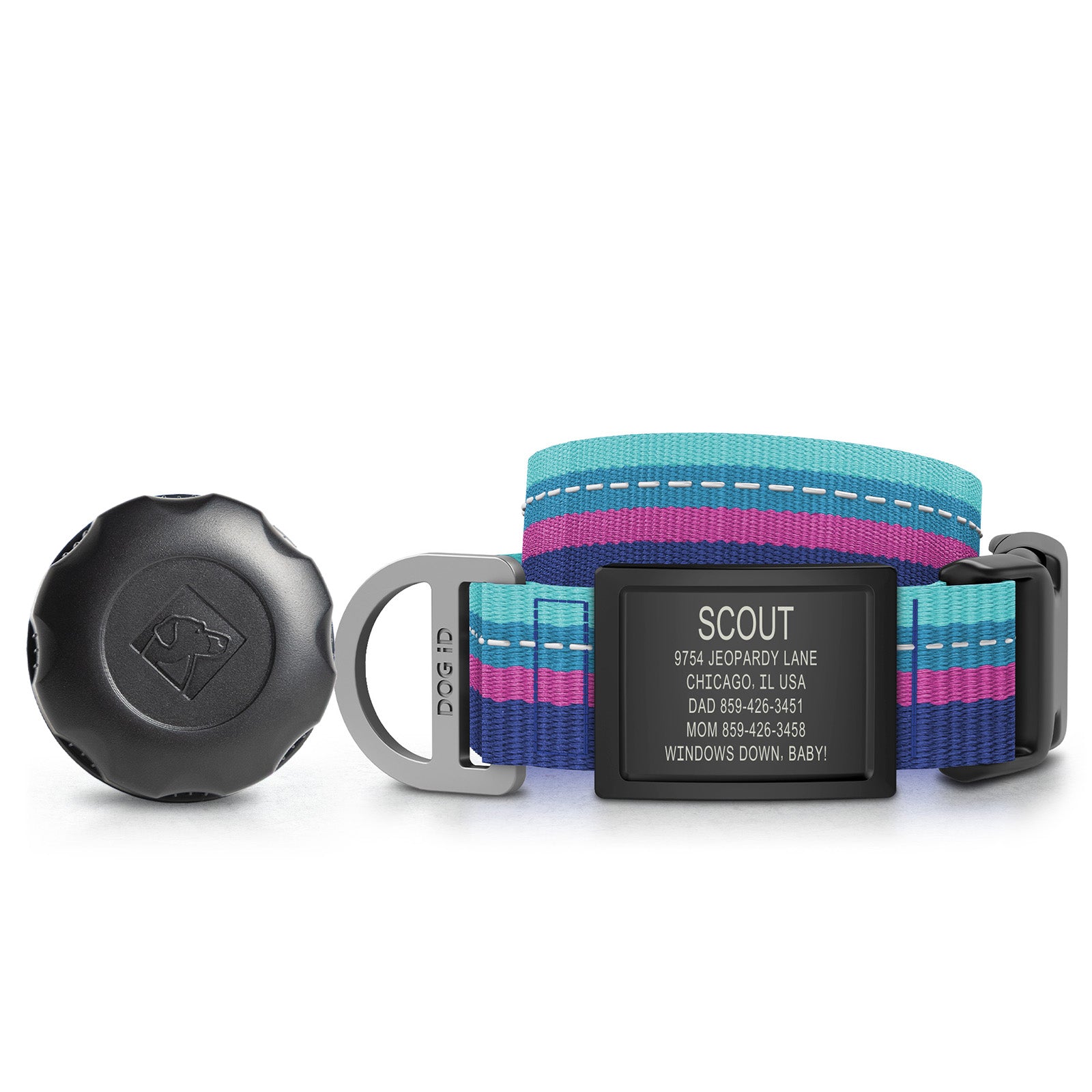 AirTag Holder + Collar + ID