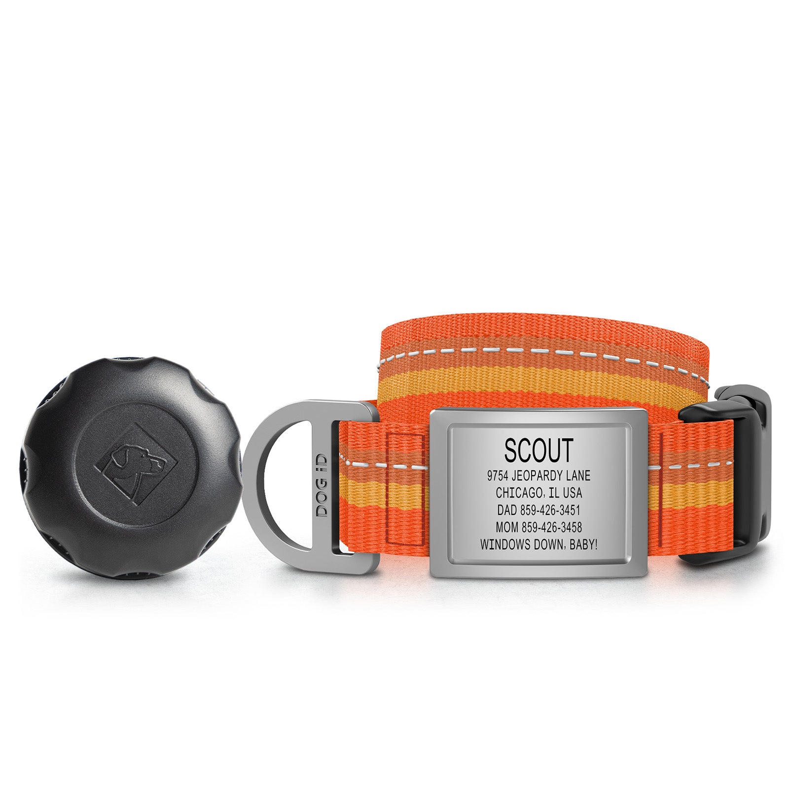 AirTag Holder + Collar + ID