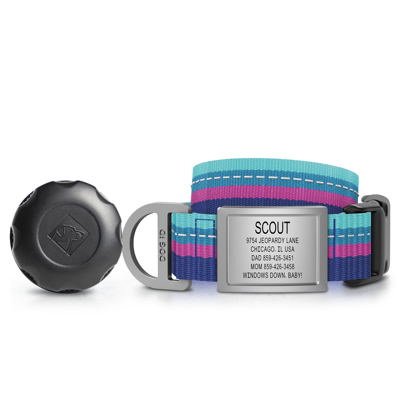 AirTag Holder + Collar + ID