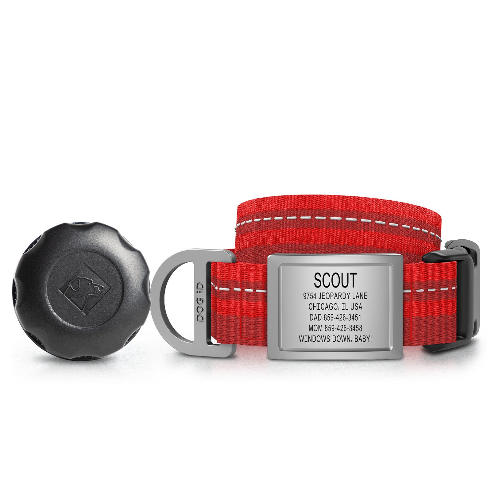 AirTag Holder + Collar + ID