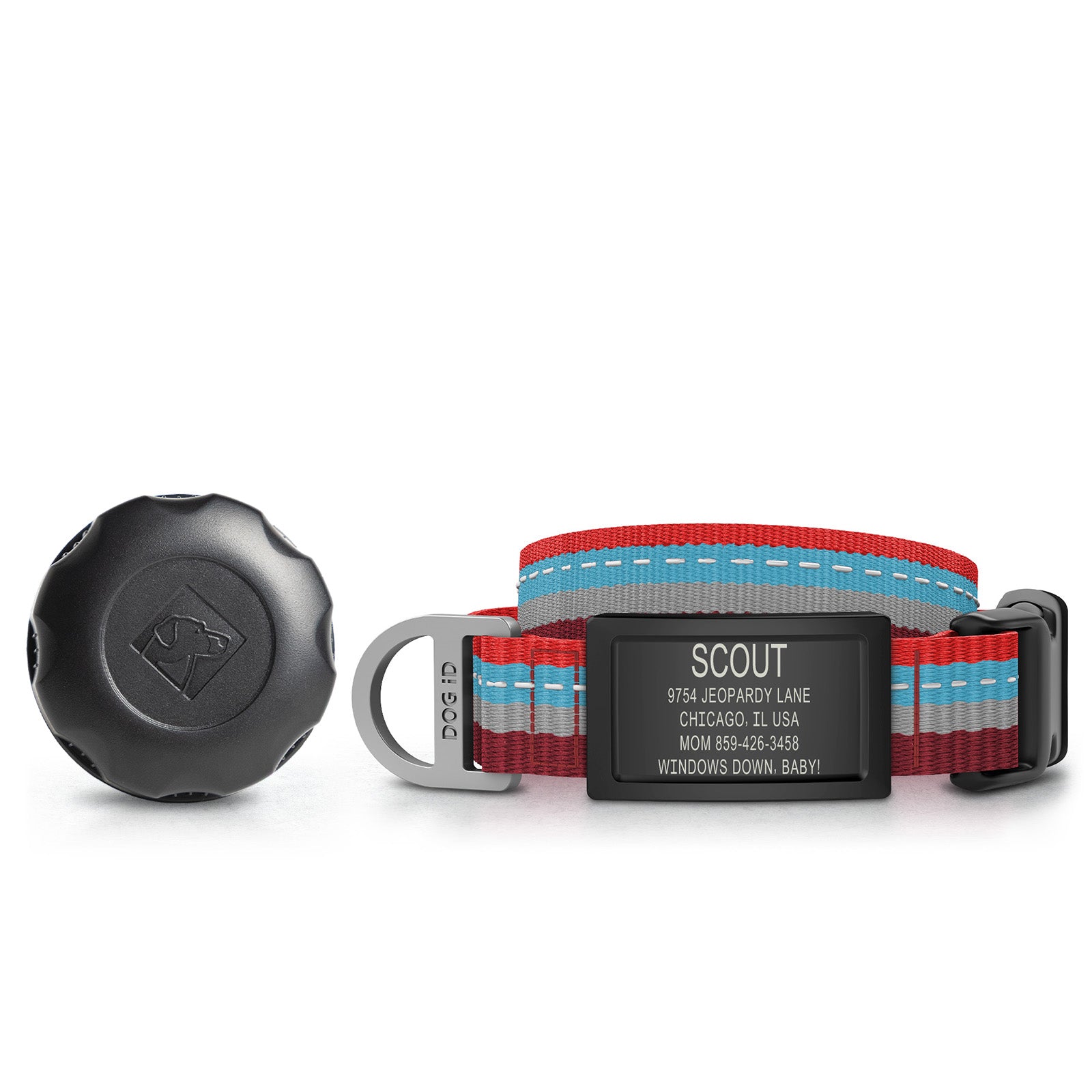 AirTag Holder + Collar + ID