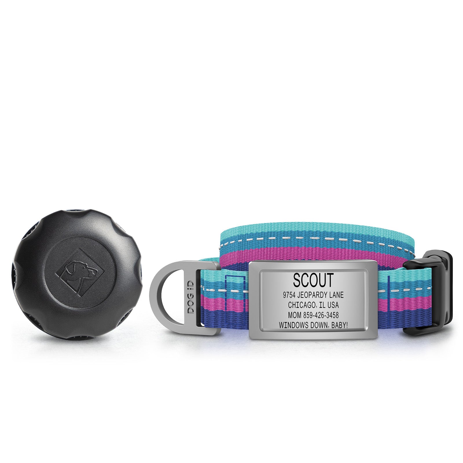 AirTag Holder + Collar + ID