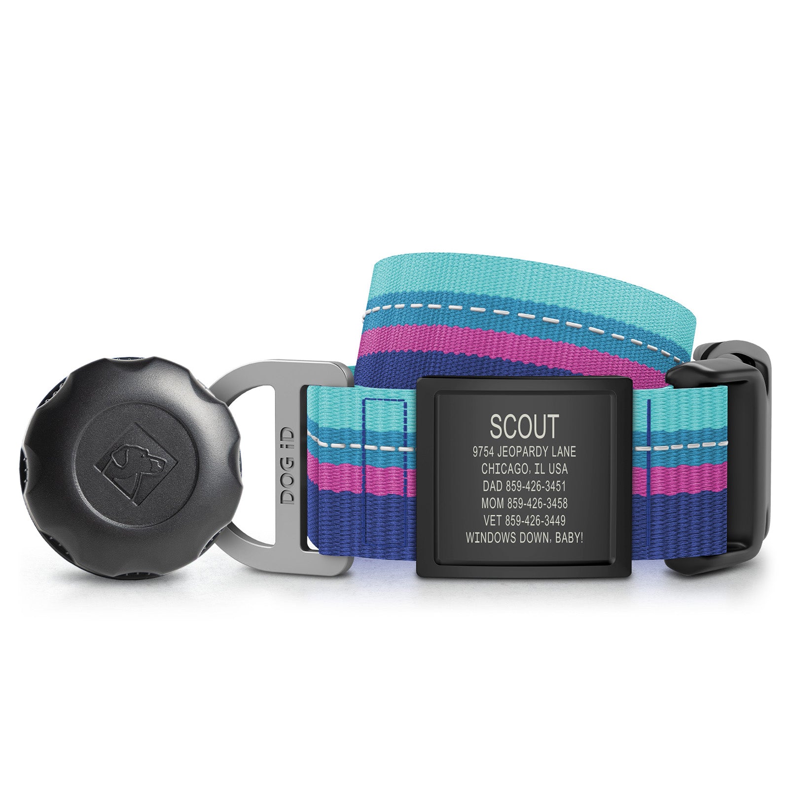 AirTag Holder + Collar + ID