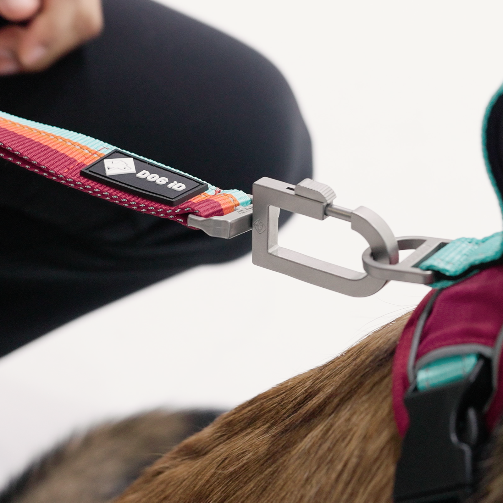 The No-Pull Harness is equipped with multi-point connections. Attach your leash to the rear D-ring or front loop for flexible control.