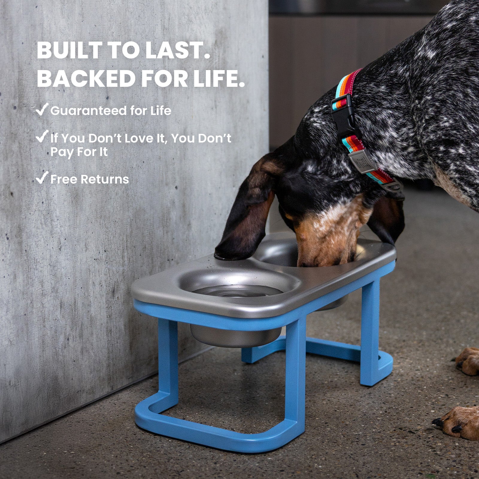 Better Bowl | Elevated Stainless Steel Dog Bowl | DOG iD