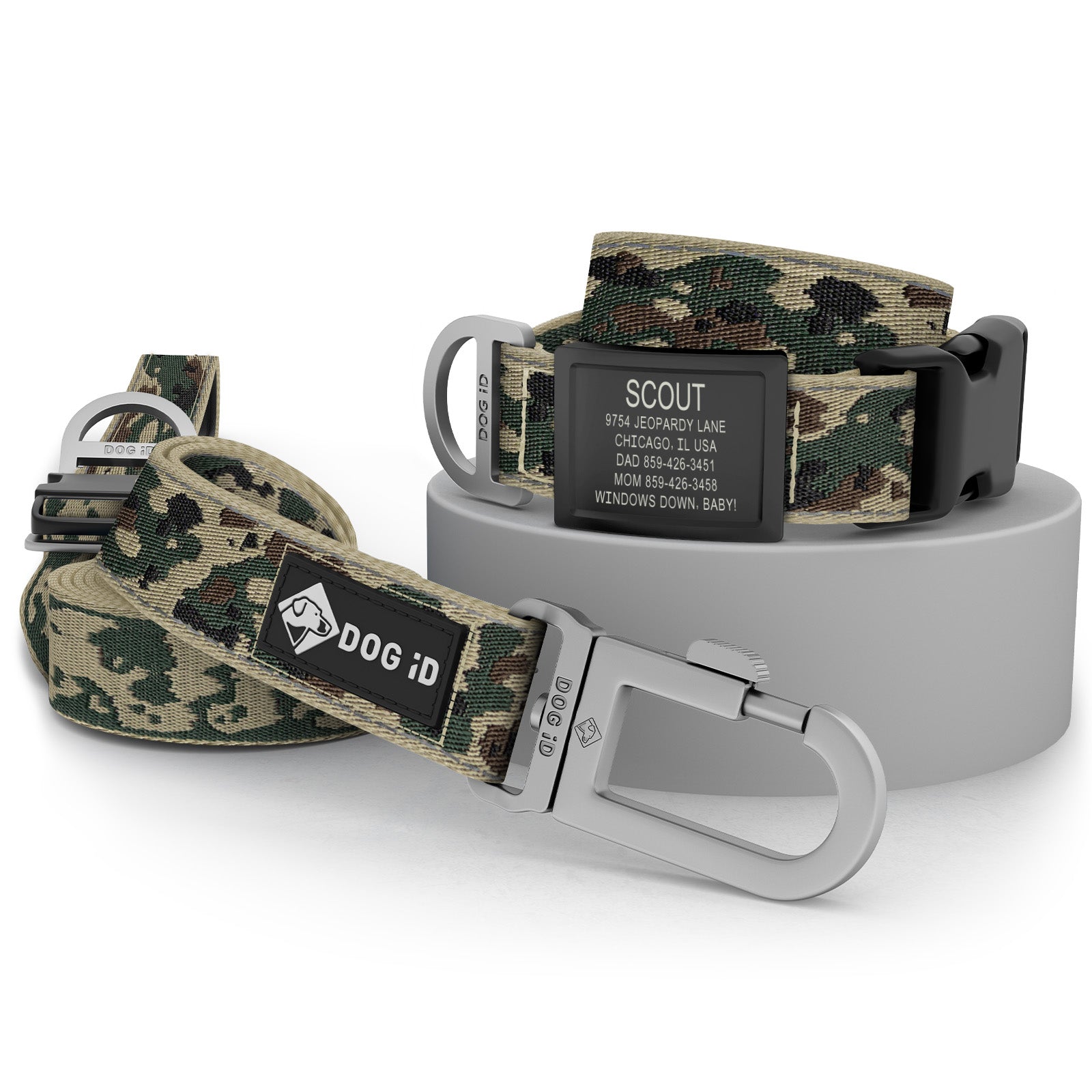 Collar + ID + Leash