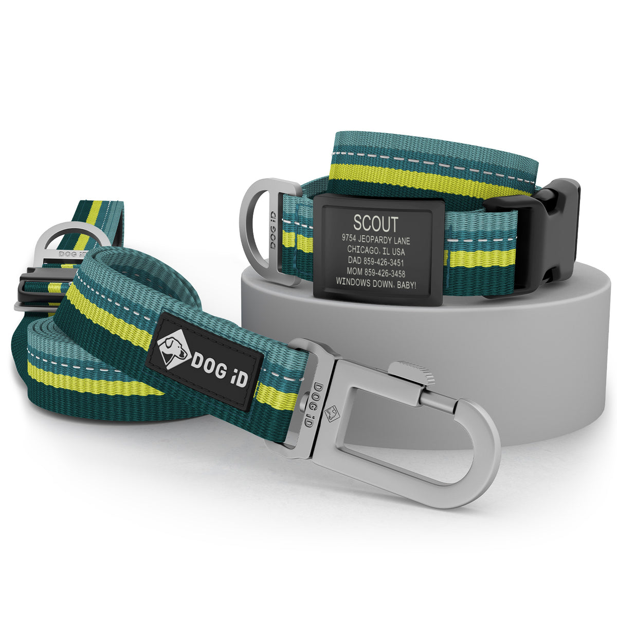 Collar + ID + Leash