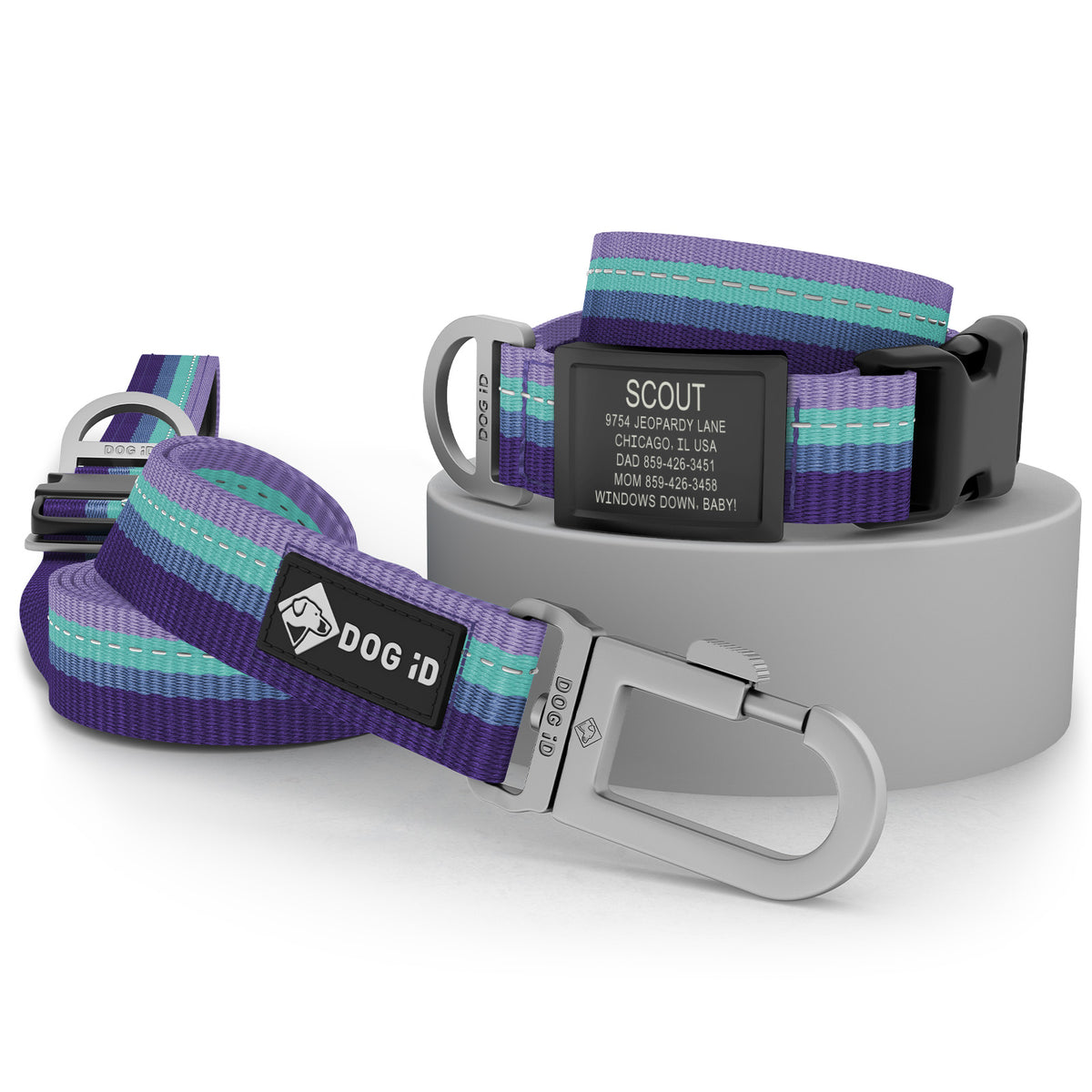 Collar + ID + Leash