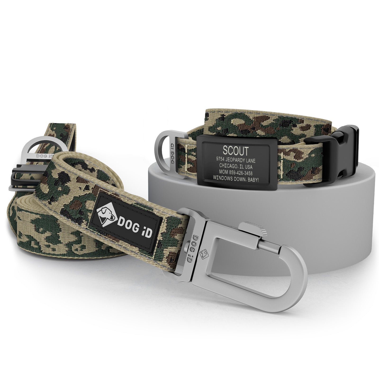 Collar + ID + Leash