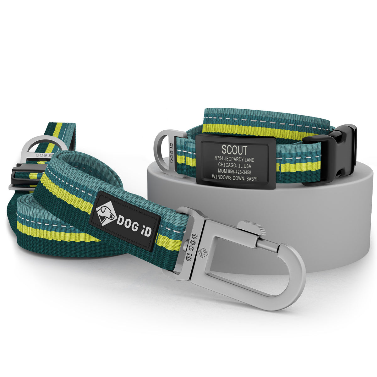 Collar + ID + Leash