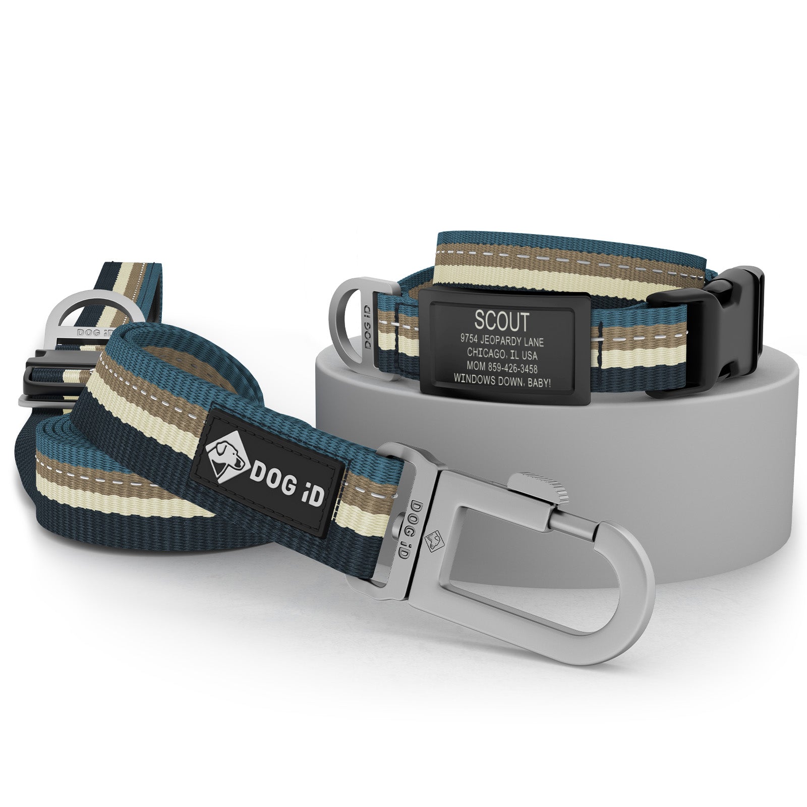 Collar + ID + Leash
