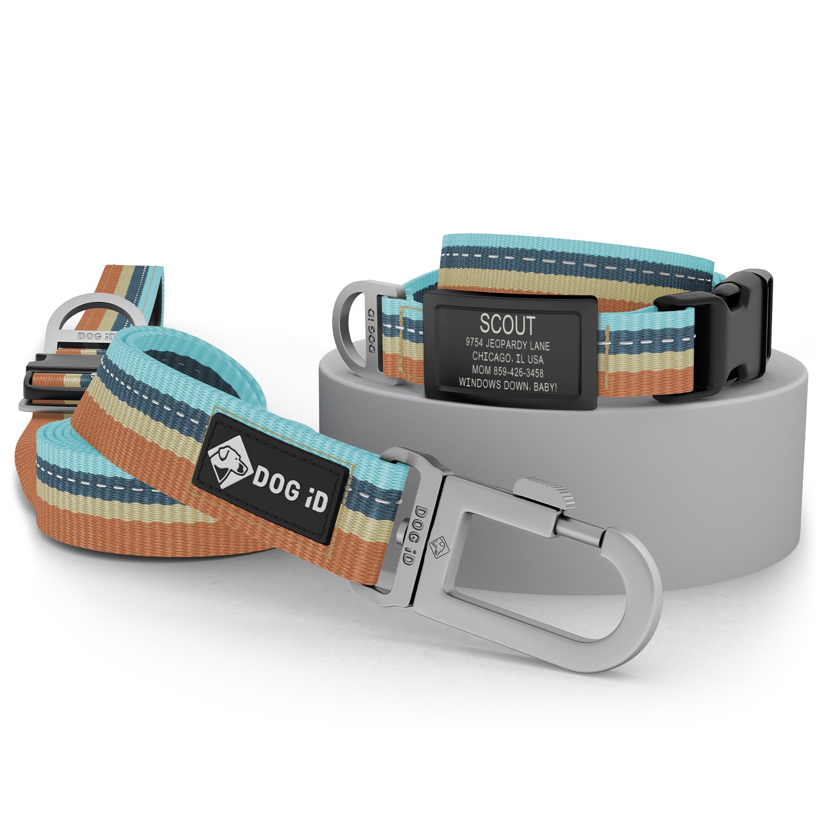 Collar + ID + Leash