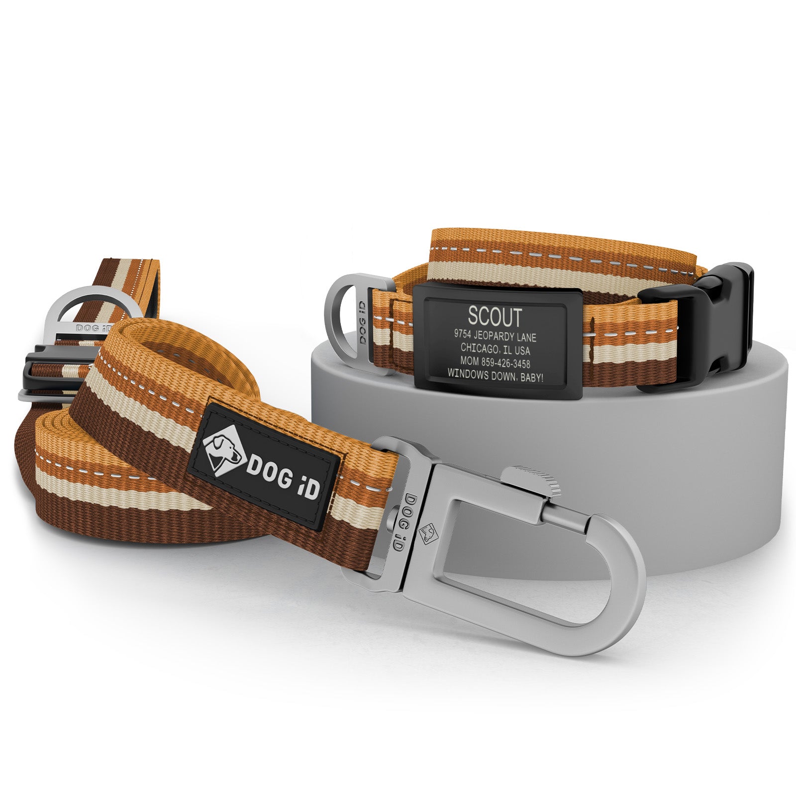 Collar + ID + Leash