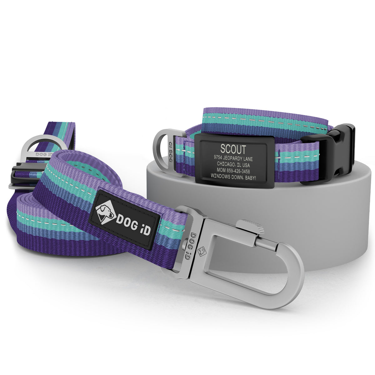 Collar + ID + Leash