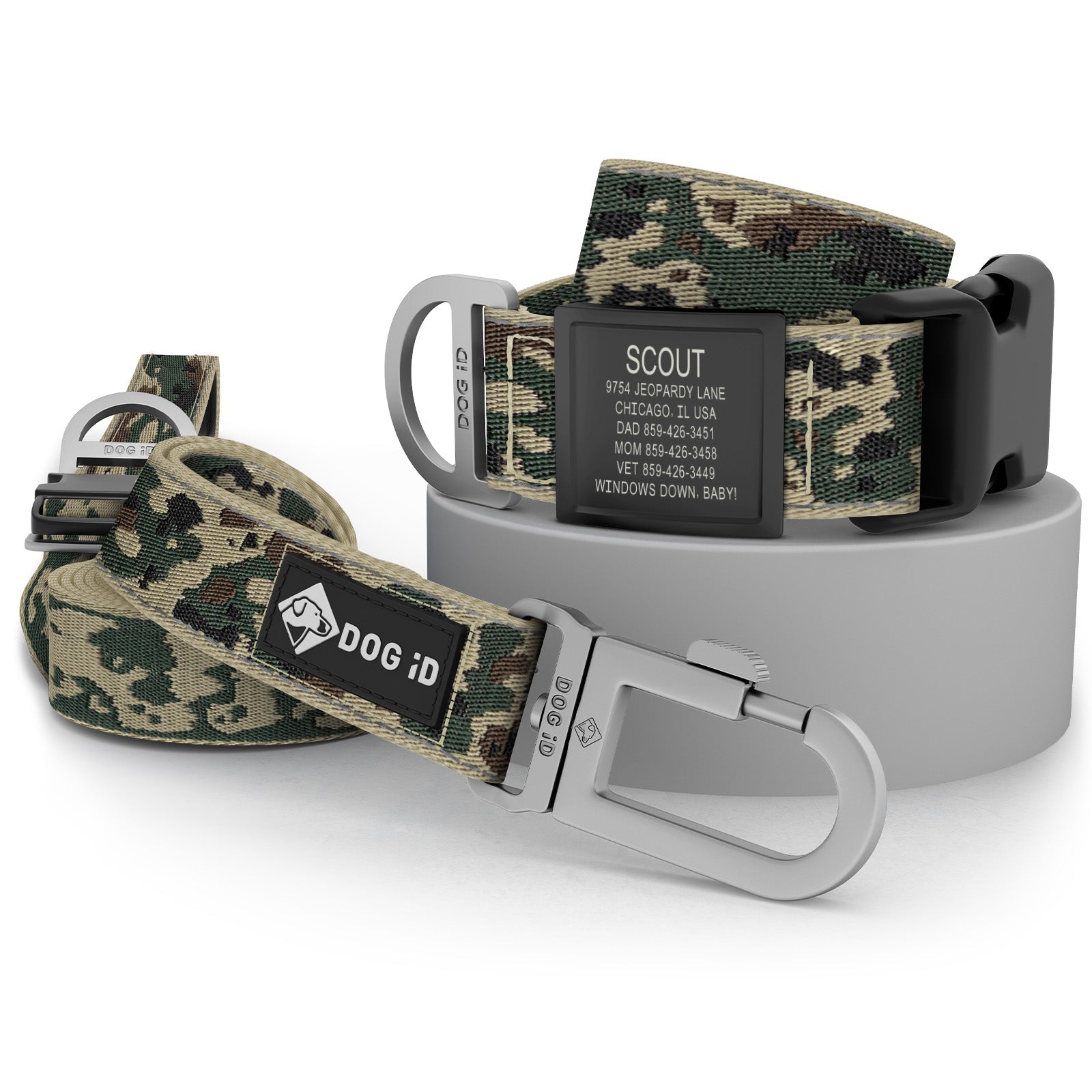 Collar + ID + Leash