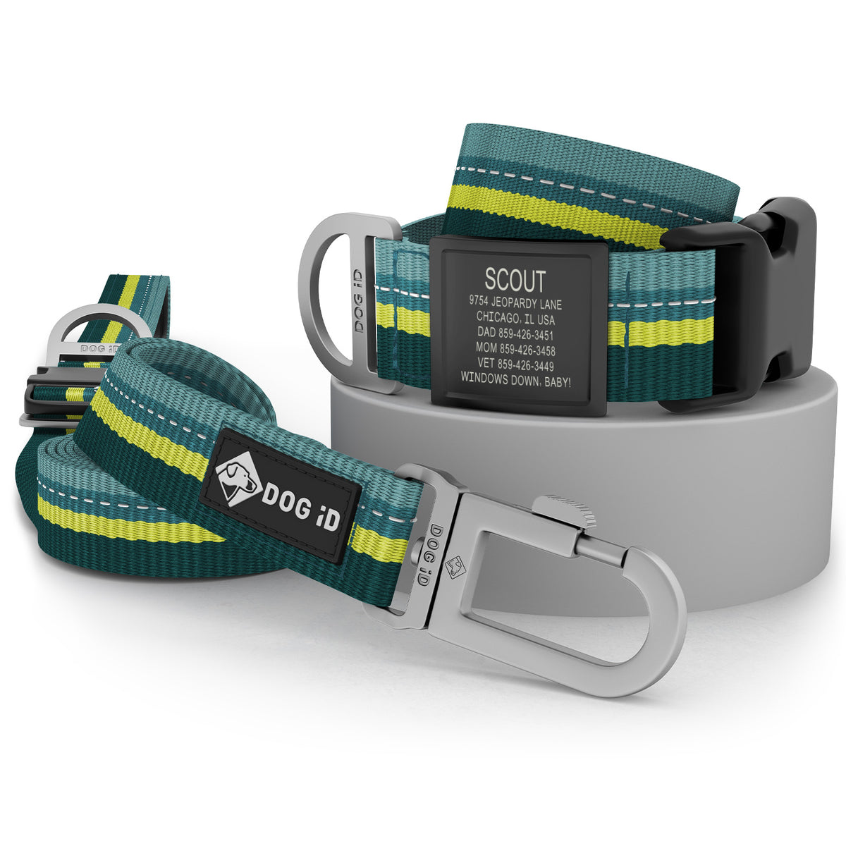 Collar + ID + Leash