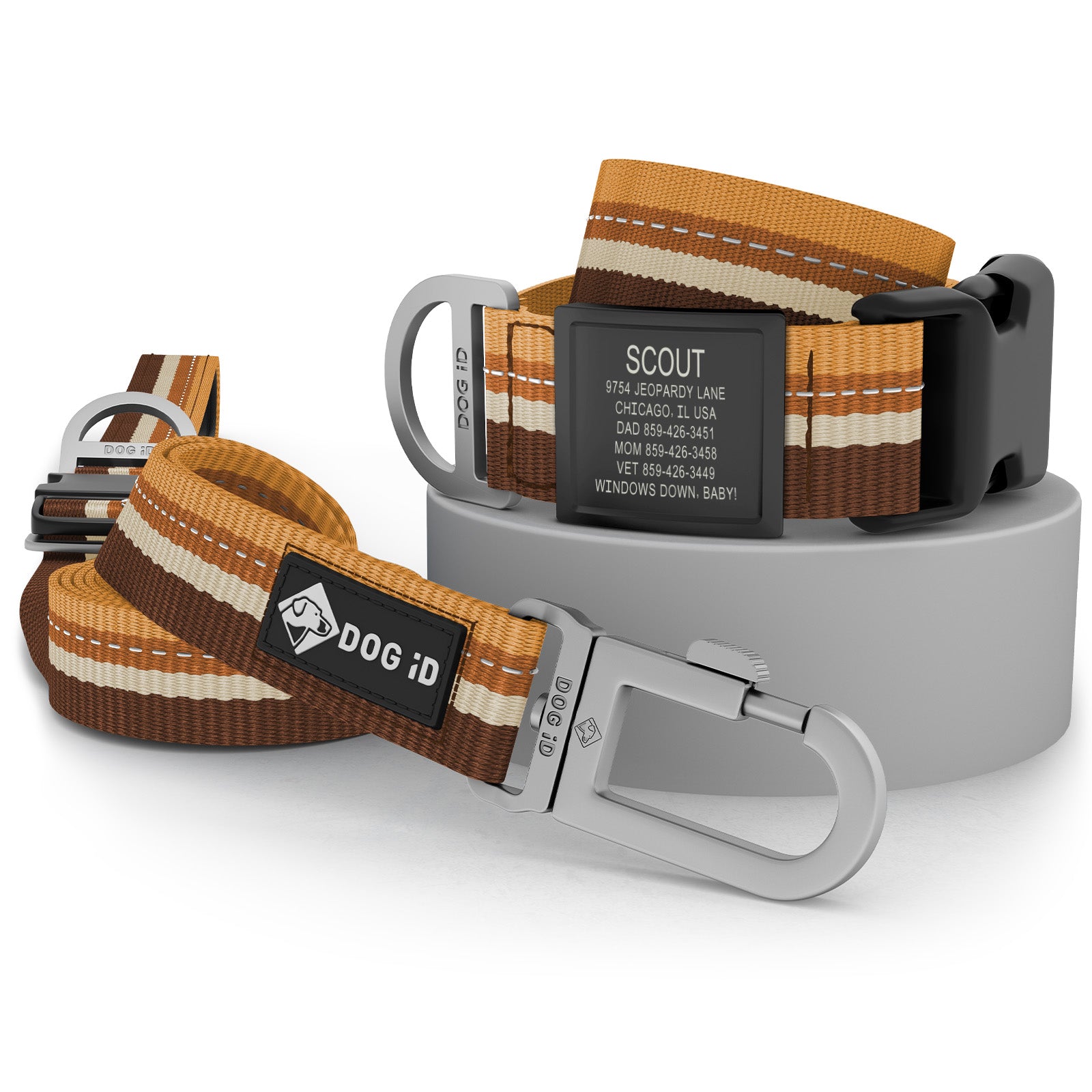 Collar + ID + Leash