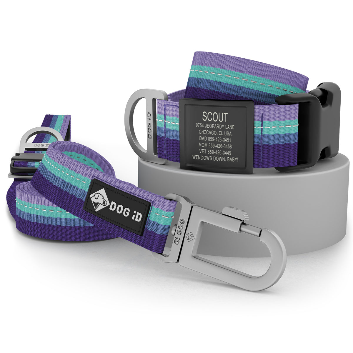 Collar + ID + Leash