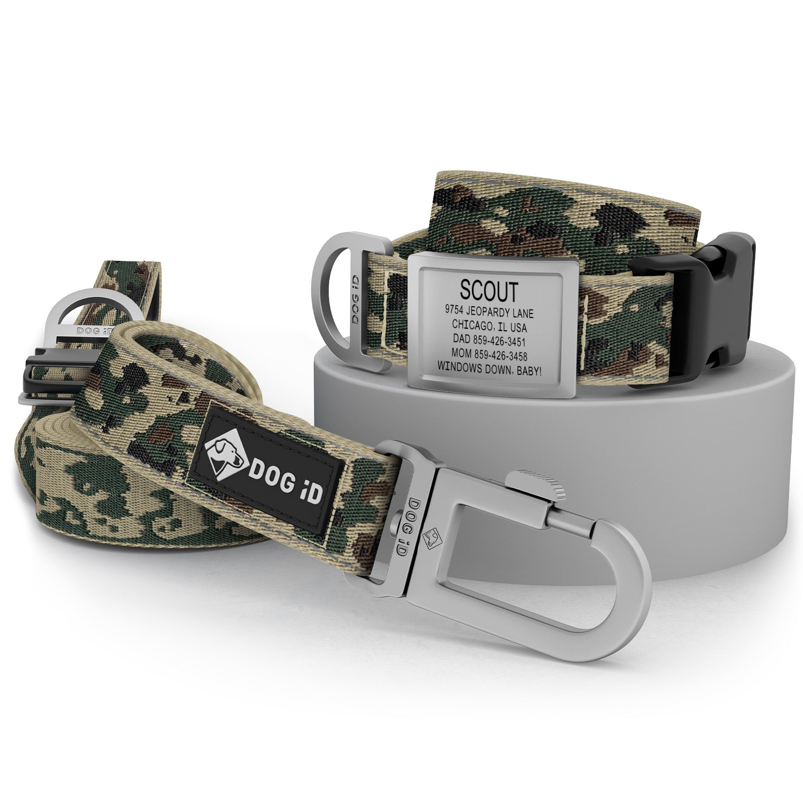 Collar + ID + Leash