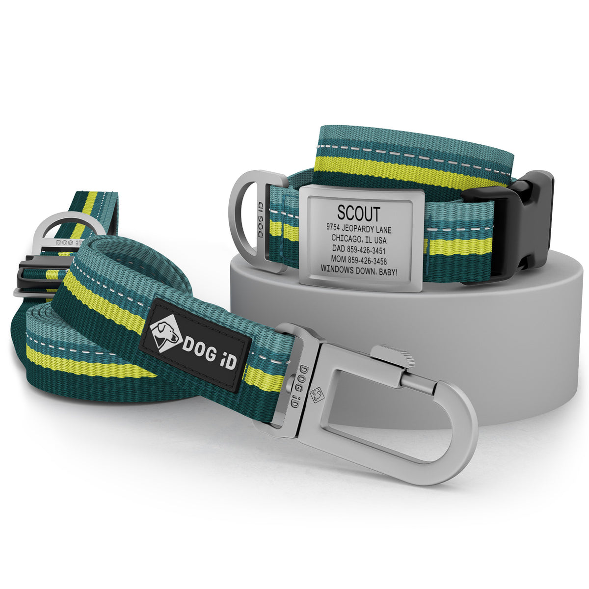 Collar + ID + Leash