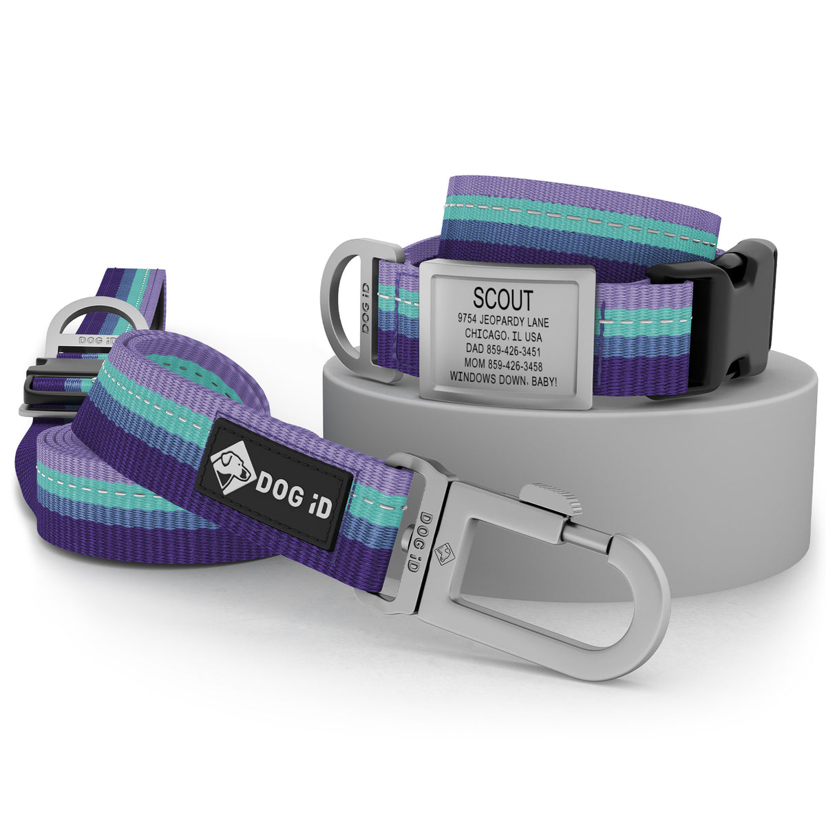 Collar + ID + Leash