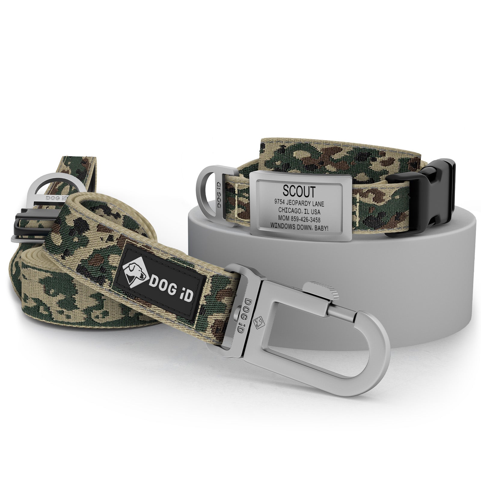 Collar + ID + Leash