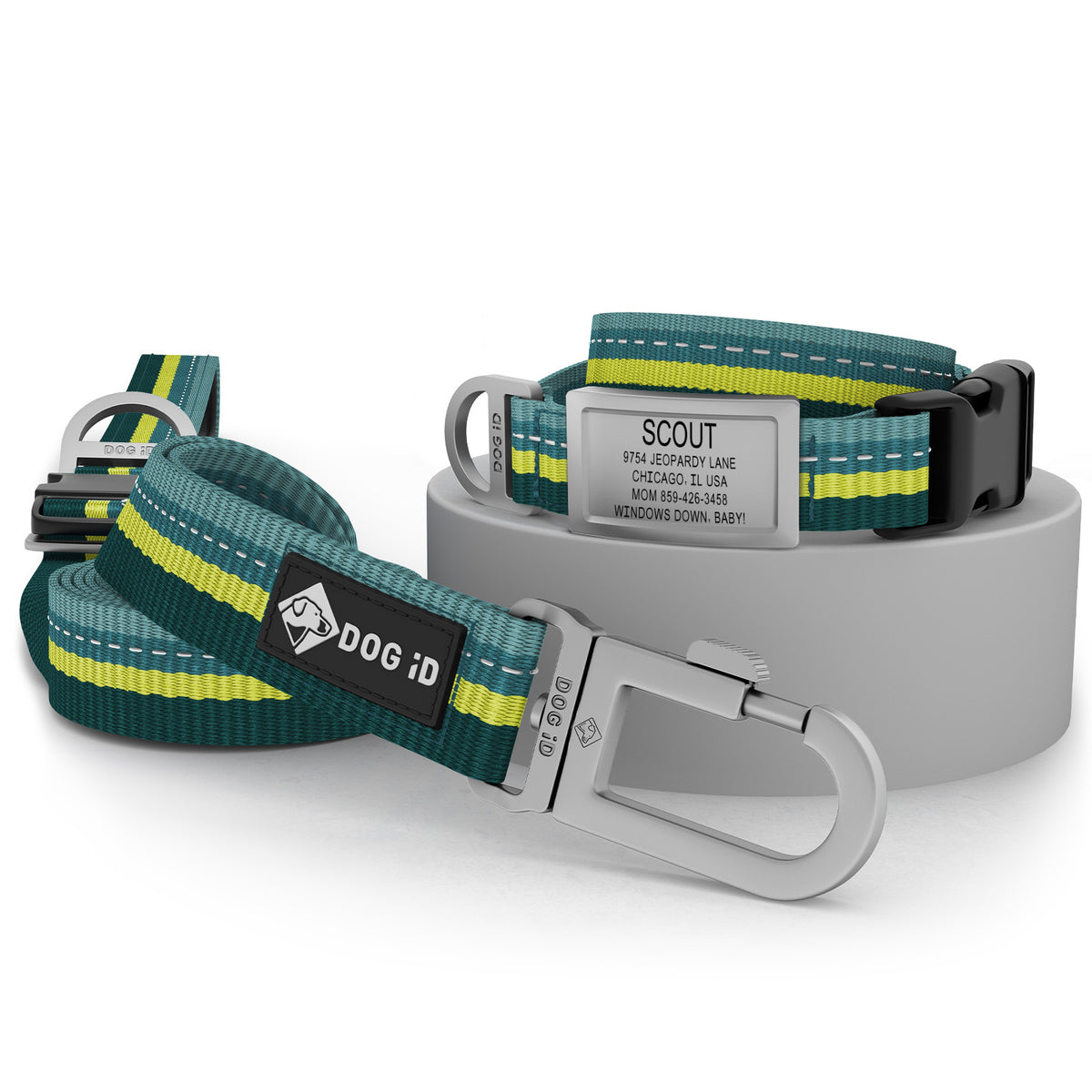 Collar + ID + Leash