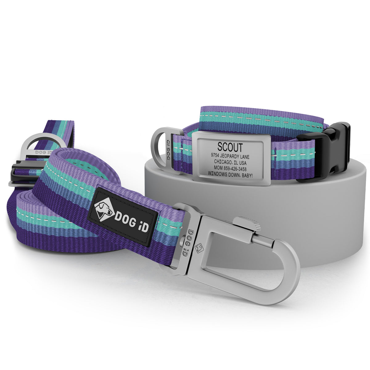Collar + ID + Leash