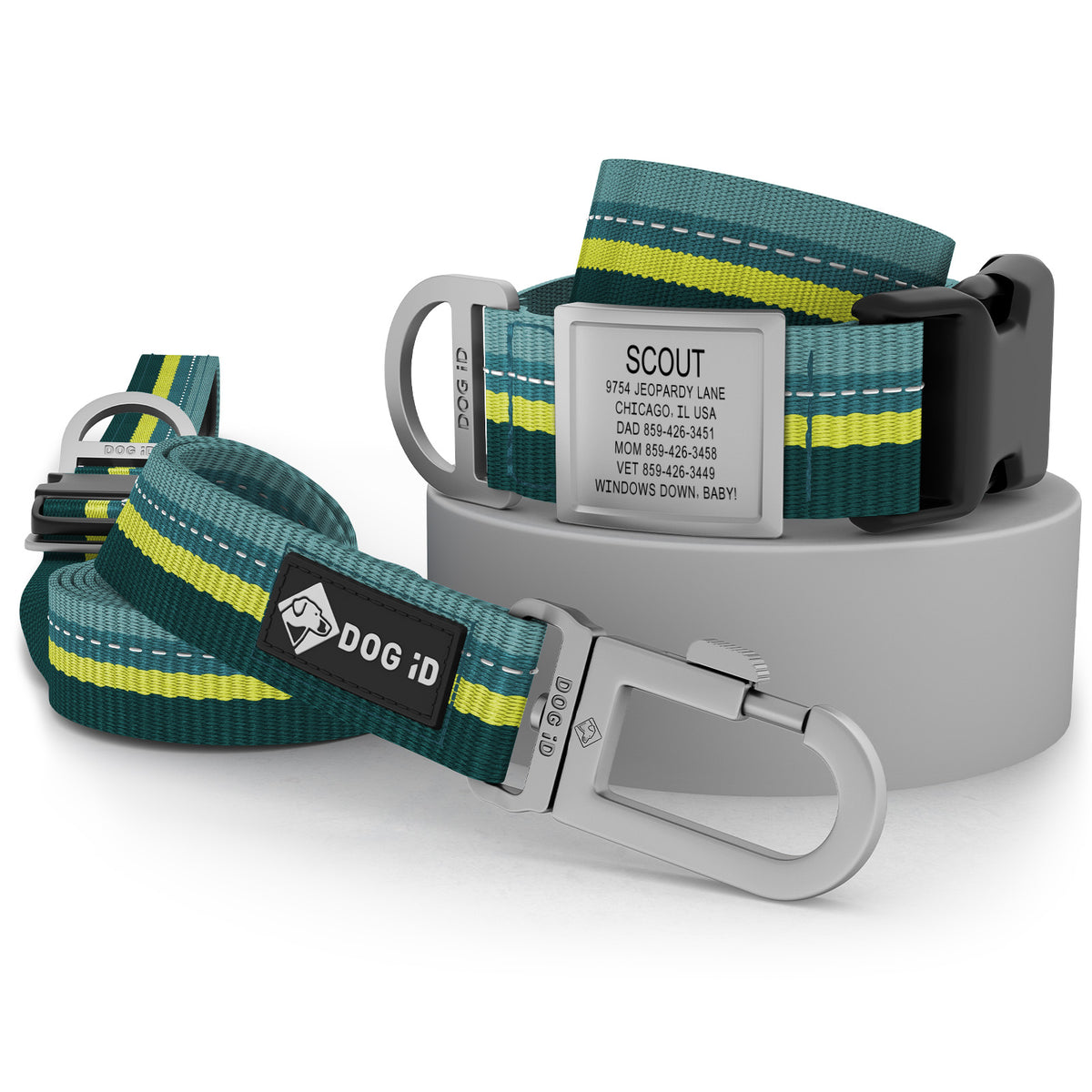 Collar + ID + Leash